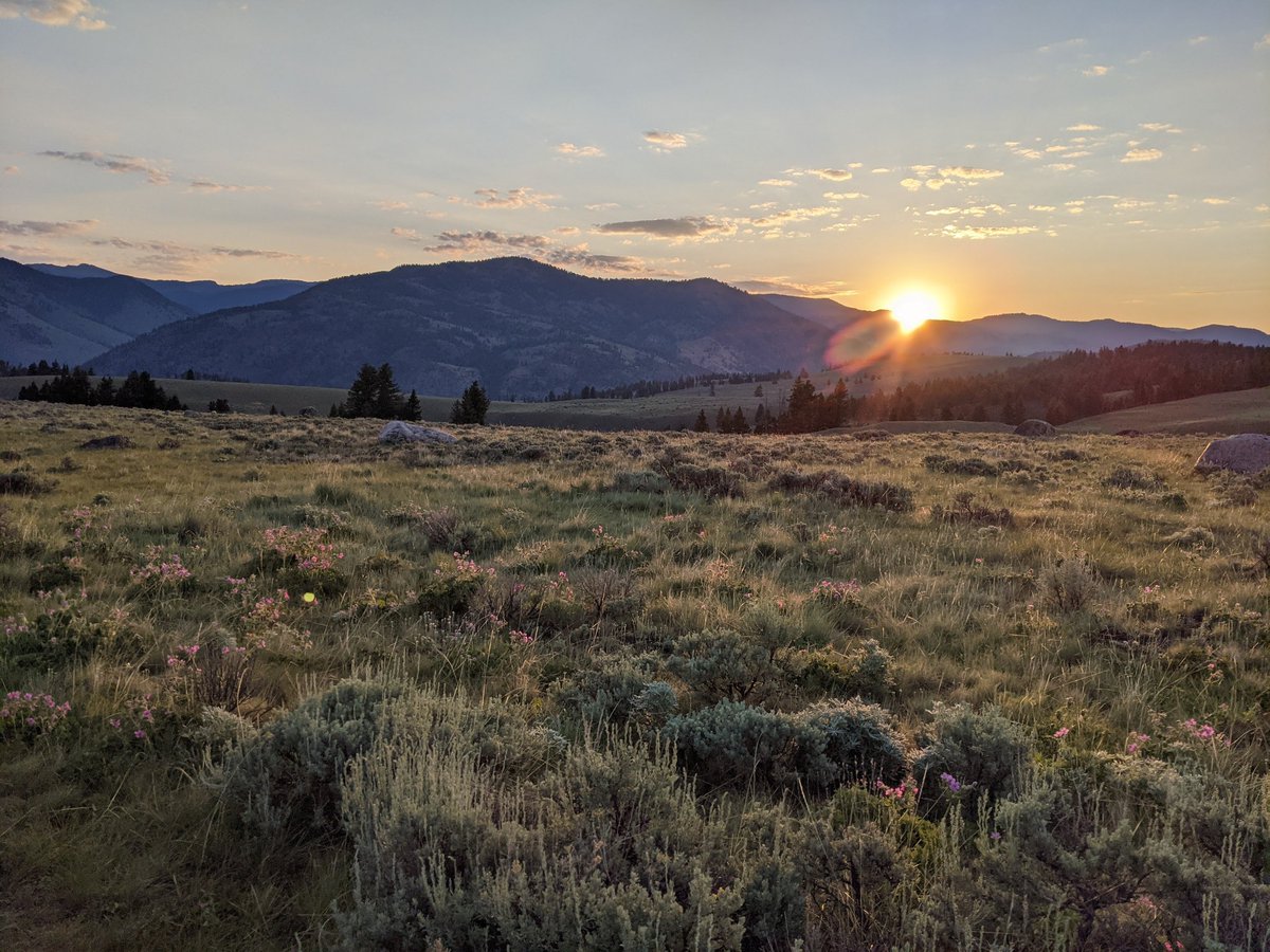lydem_tlydem's tweet photo. @YellowstoneNPS #YNP150area all of it was awesome! https://t.co/j7FXtz69lG