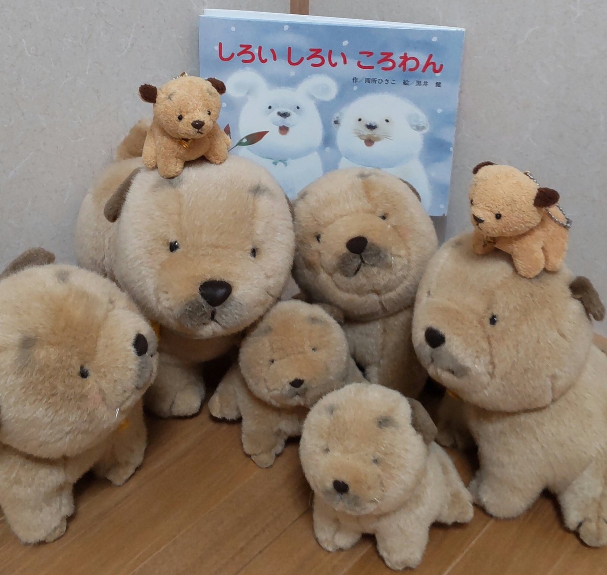 sasanqua0406's tweet image. ふと「ころわん」を思い出し集合させてみた。
絵本は数年前に最終回を迎えていたのね😢

#黒井健
#間所ひさこ
#ころわん