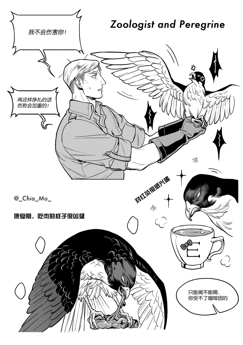 中文版: 