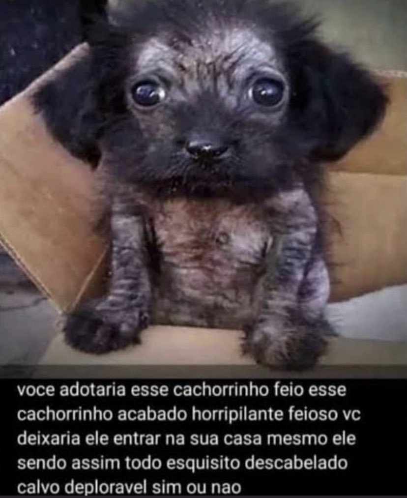 andykilldragons's tweet image. galerinha quero voltar a postar desenho, mas como fiquei mt tempo sem usar minha conta antiga o engajamento ficou um lixo, aí criei essa outra 
valeu 👍🏻🤜🏻