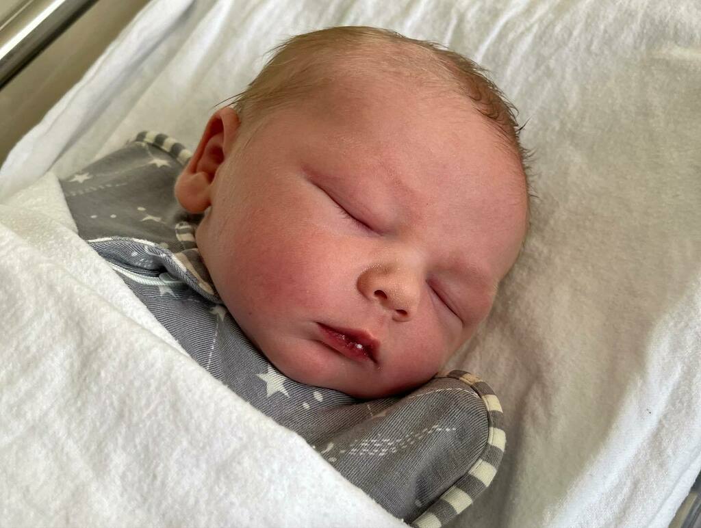 hamymonkey's tweet image. Meet Eddie and his very proud big sister.