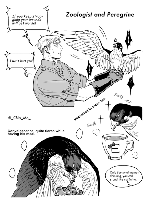 Zoologist Erwin finds wounded Peregrine Levi.

#エルリ #eruri 