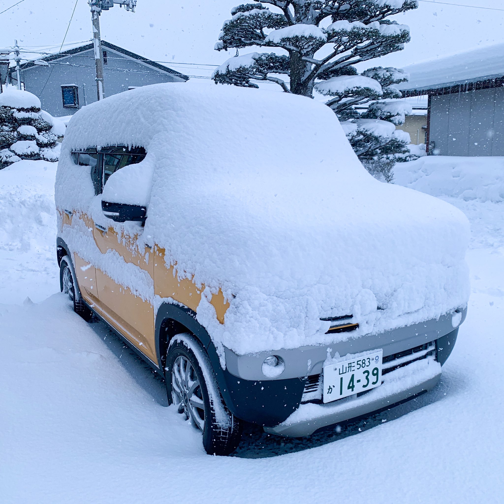 Tweets With Replies By 気ままに軽自動車で車中泊 Kimamanihustler Twitter