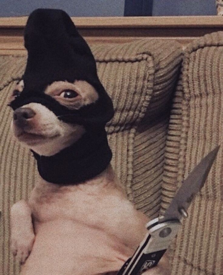Puro_Chisme_Ire's tweet photo. Ashtray ready to cut down a snitch #EuphoriaHBO https://t.co/HCNlK5e2VX