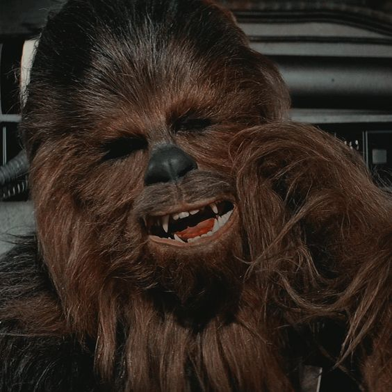JED1KN1GHT's tweet photo. smash or pass: chewbacca https://t.co/WM4yE8KFzJ