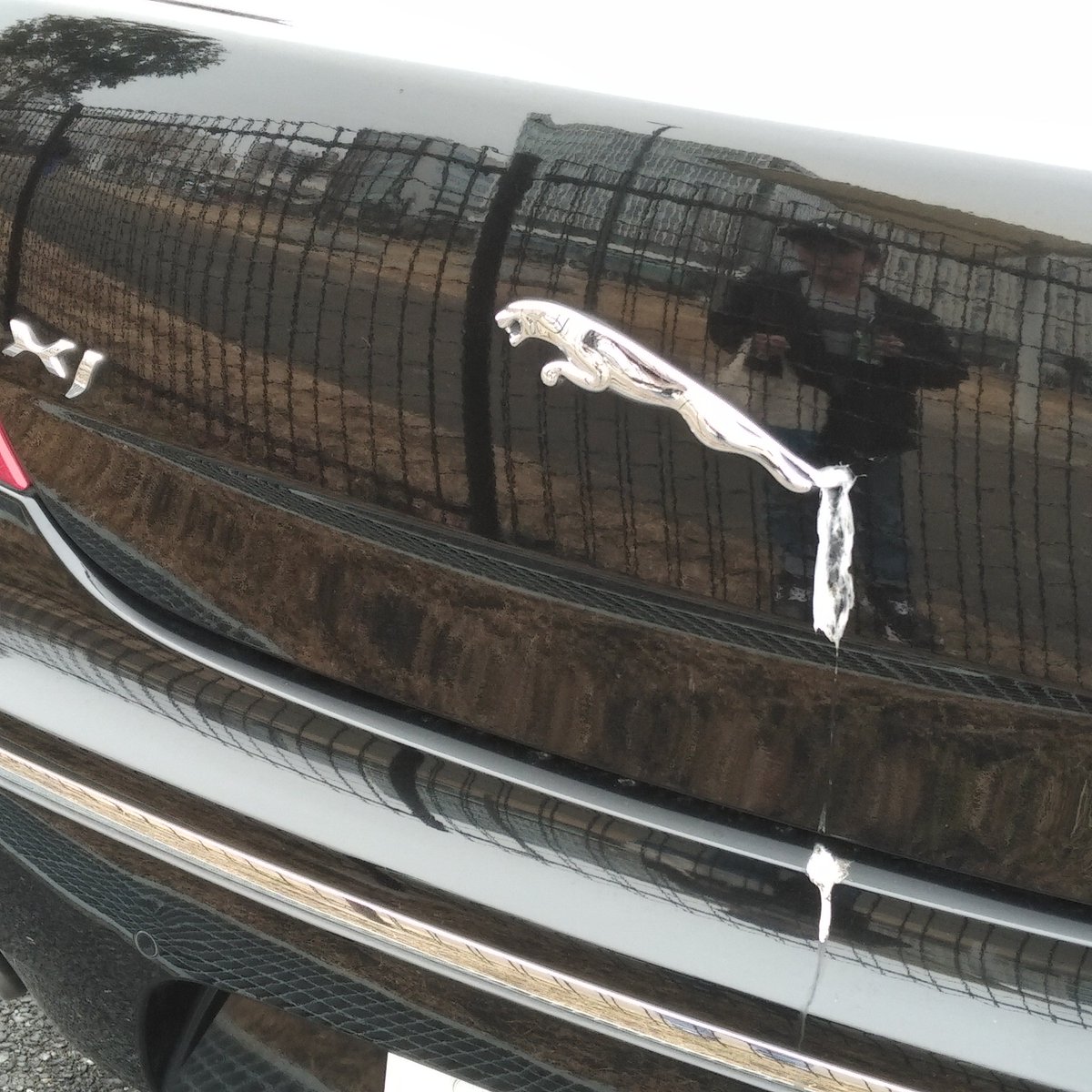 ジャガー えっクソじゃい
#ジャガーXJ