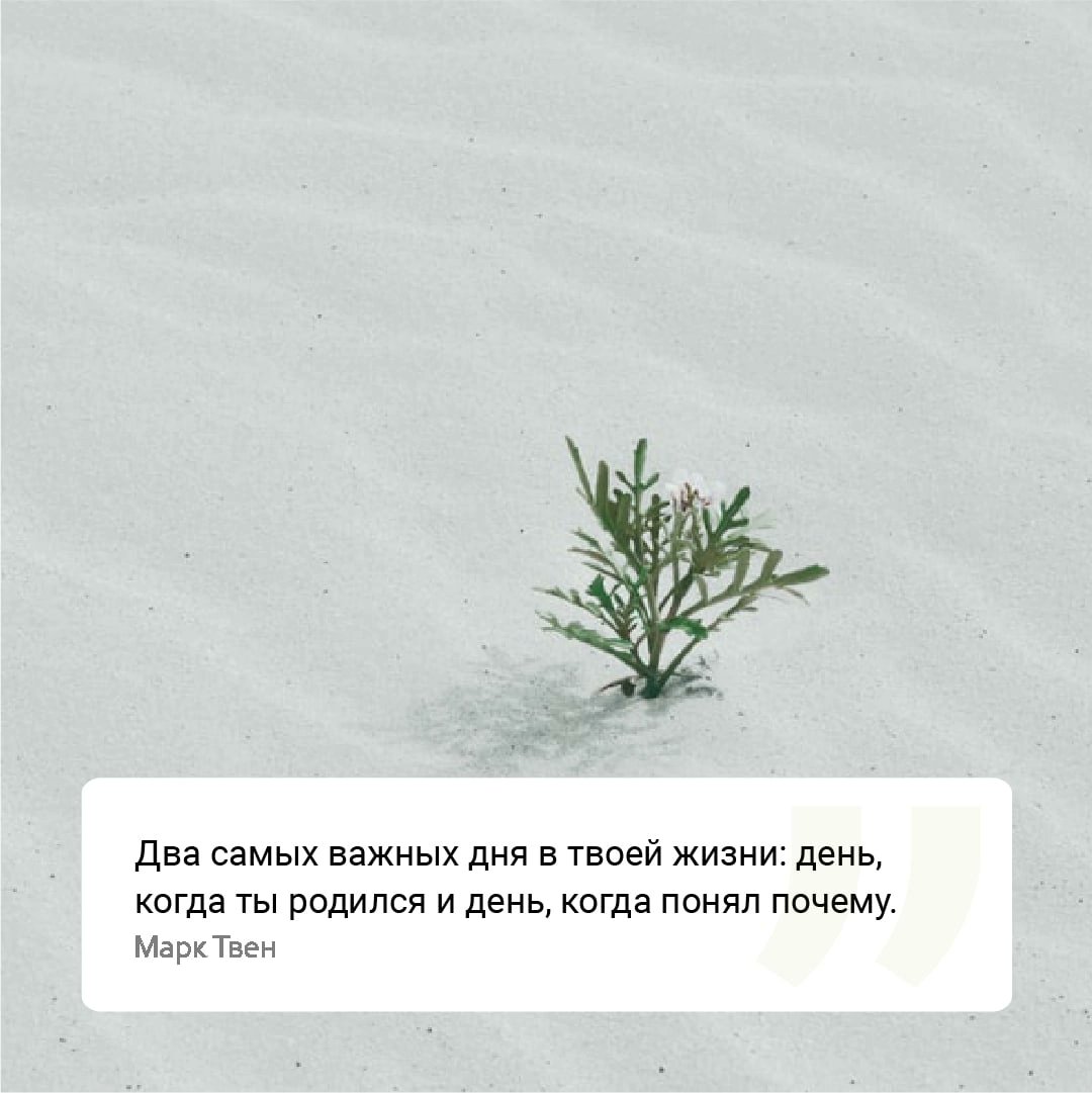 ivhelix's tweet photo. #цитата https://t.co/REbnQ683cy
