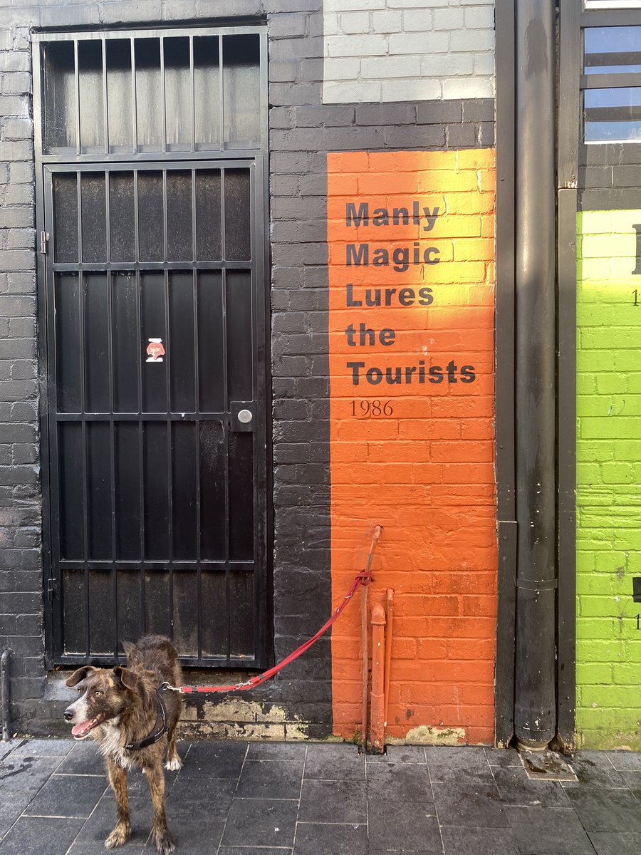 “Colour is life; for a world without colours appears to us as dead.”  
- German painter Johannes Itten

The bold and bright hues in the cityscape doing their thing - adding a small infusion of joy, warmth, energy and vibrancy to my day. 

Day 51 &amp; 52 of #100daysofwalking