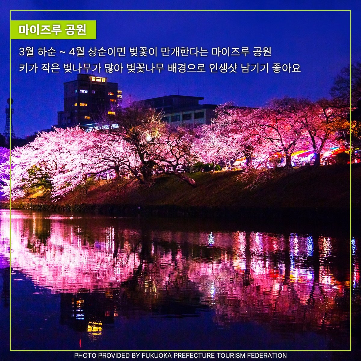 JINAIR_LJ's tweet photo. 난 몰랐어 후쿠오카 이리 다채로운지🌈❣⠀

여러분 그거 아시나요?💗⠀
벌써 벚꽃 시즌이 돌아왔다는 사실을요!⠀
봄바람 휘날리며🌸 흩날리는 벚꽃 잎이🌸⠀
(벚꽃 하면 자동 재생되는 거 아시죠...ㅎ)⠀

3월에 벚꽃 보러 후쿠오카 가셔야죠!
아래 링크 클릭👇👇👇
https://t.co/iVj34JZX8j https://t.co/m0FrhXeWVV