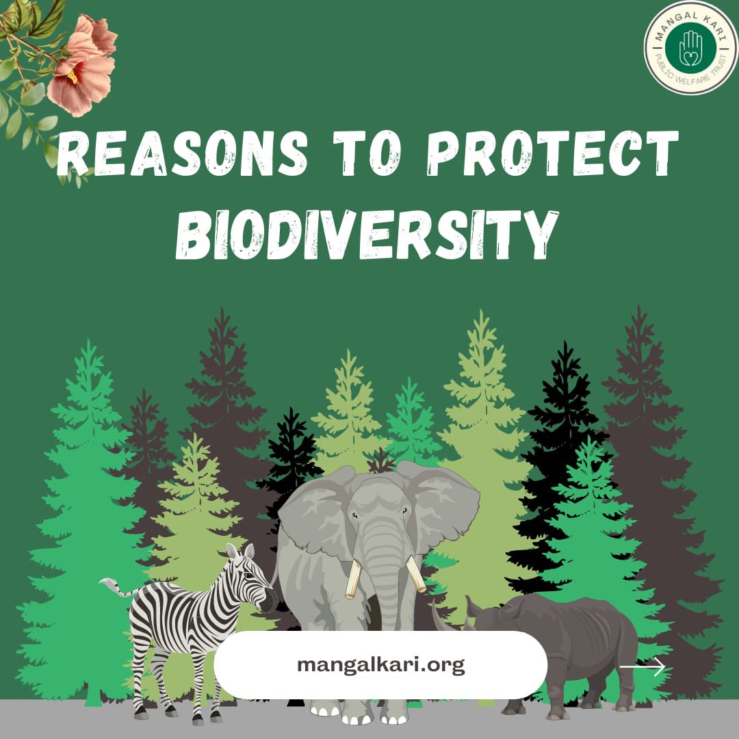 MangalkariT's tweet photo. As a human, it’s our duty to protect the biodiversity.
#climate #conservation #biodiversity #animallove #MPWT https://t.co/gg3o9k5JNS