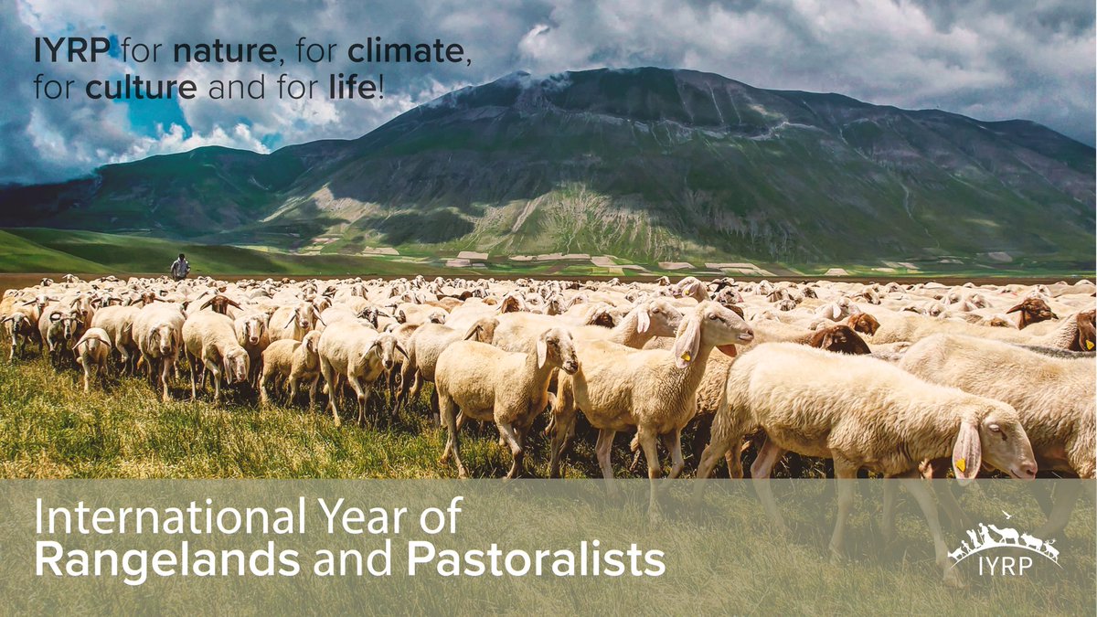 International Year of Rangelands and Pastoralists (@iyrp2026) on Twitter photo ๐ฐ Final countdown! ๐๐๐
Thanks to the leadership of the Government of Mongolia and the huge efforts of the #IYRP2026 support group, we hope for approval at <a href="/UN/">United Nations</a> GA on 28 Feb 2022.
Follow us and accompany our journey for sustainable rangelands and pastoralism! ๐ฐ Final countdown! ๐๐๐
Thanks to the leadership of the Government of Mongolia and the huge efforts of the #IYRP2026 support group, we hope for approval at <a href="/UN/">United Nations</a> GA on 28 Feb 2022.
Follow us and accompany our journey for sustainable rangelands and pastoralism!