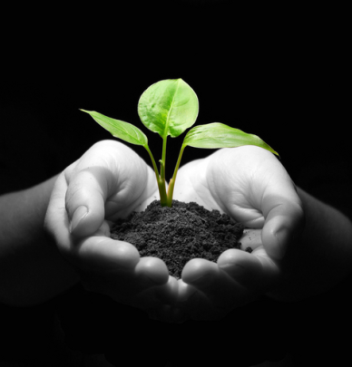 OFFmyGRIDCoach's tweet photo. Patience, consistency &amp; more patience! My G9 advisory Ss are now coming to me to be coached for executive functioning skills! Patience &amp; building rapport is paying off. Never underestimate the power of planting a seed. #aHangoutForTheMind #coachingmatters #executivecoaching https://t.co/0KEMDM5Ju8