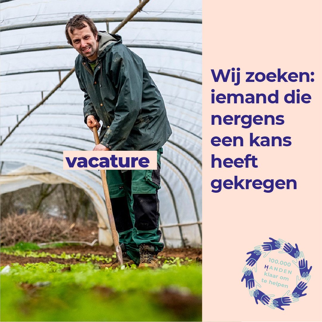 IGO_div's tweet photo. Wij zoeken: letterlijk iedereen!
Iedereen heeft recht op werk: mensen zonder ervaring, mensen zonder diploma ... Daarom geeft #IGOdiv kansen via AMA WSE, collectief maatwerk en LDE. Lees meer op https://t.co/IyQncvBOR3 en op https://t.co/KARMJH4icv. 
#LokaalSociaalVitaal https://t.co/xJGi8b9ked