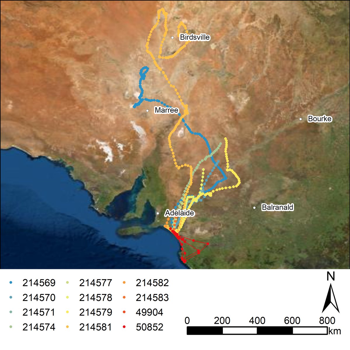 Rowan Mott tweet media