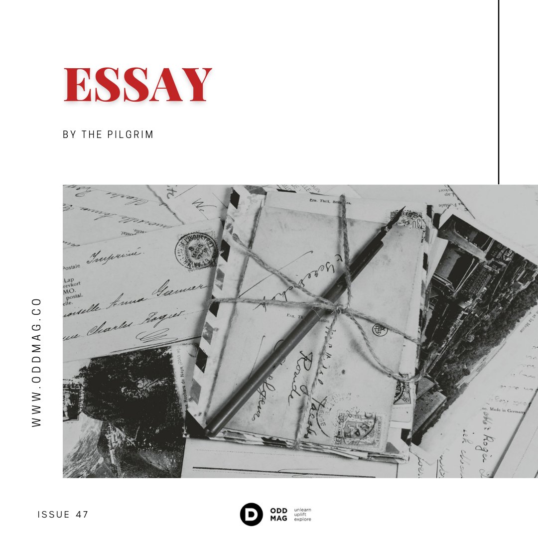 Odd Magazine tweet media