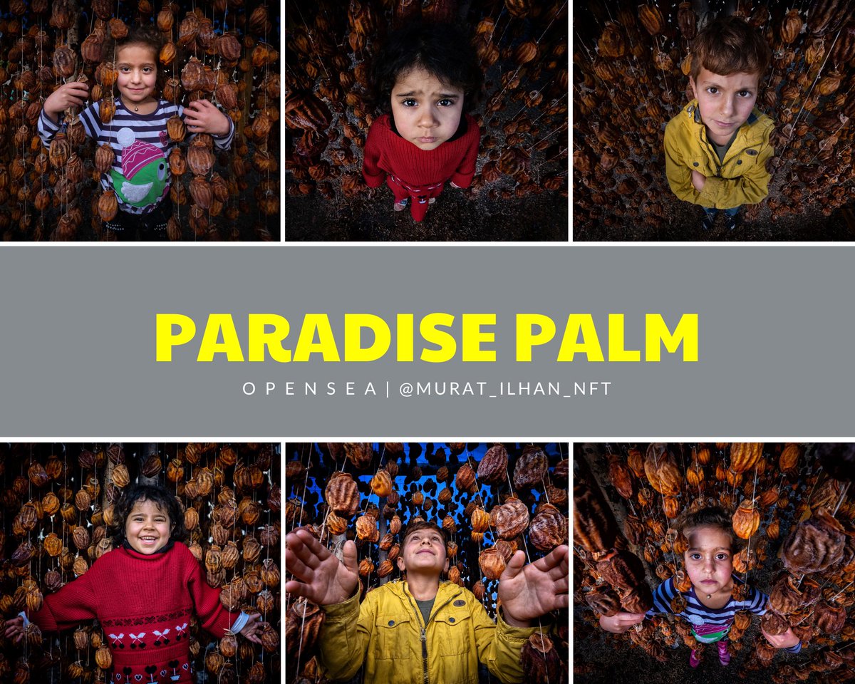 Gm  #NFT fam ☕️🌈🤗

Here is my newest collection “PARADISE PALM” Are you ready to watch cute child portraits with the palm of paradise? then here you go🤟

0.1 ETH each

opensea.io/collection/par…

#NFTdrop #NFTCommmunity #nftcollectors #NFTartist