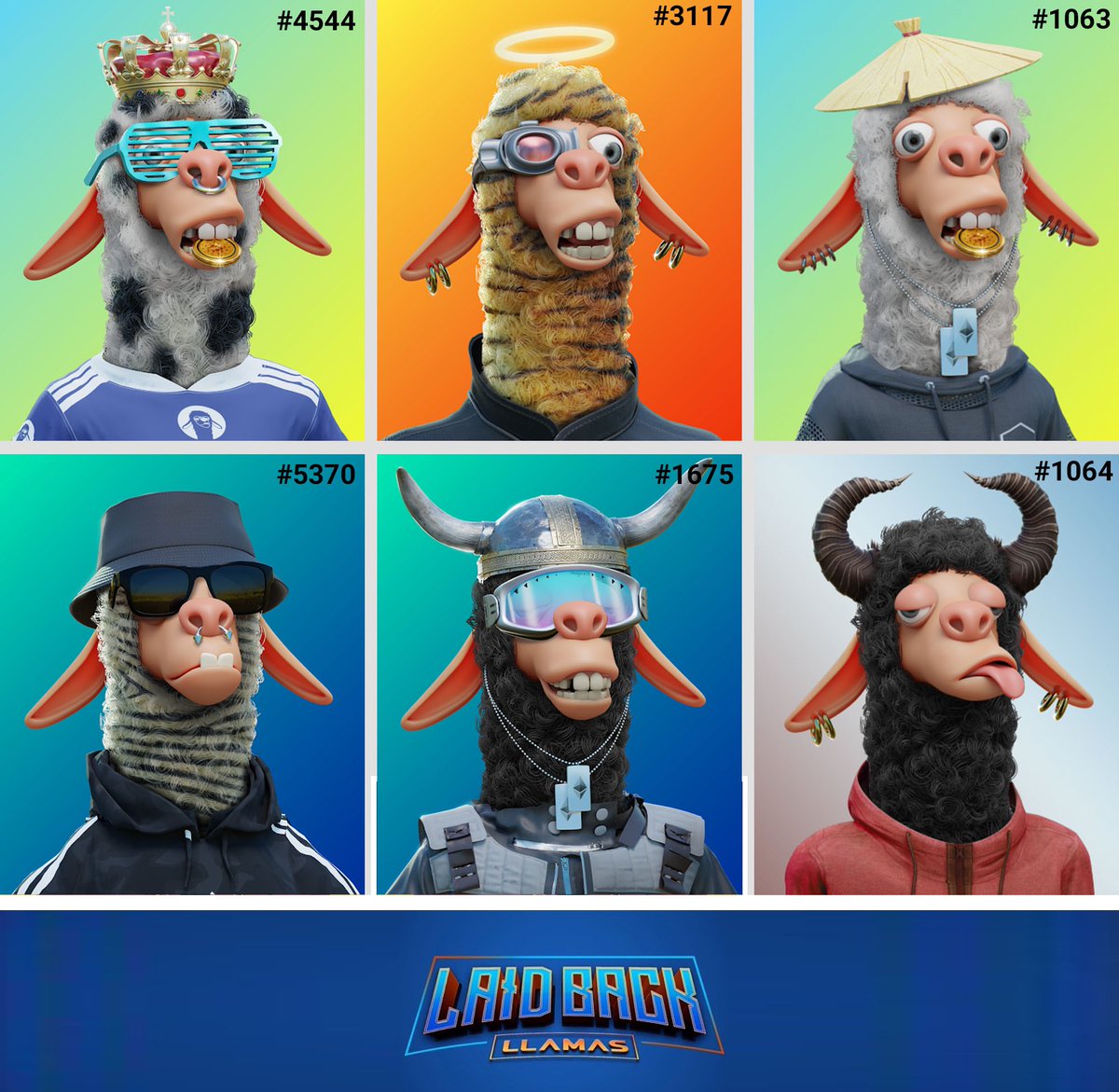 metaversions's tweet image. It’s all about @LaidBackLlamas! Hands down the best designed pfp’s, all with so much personality. ❤️ my herd!!