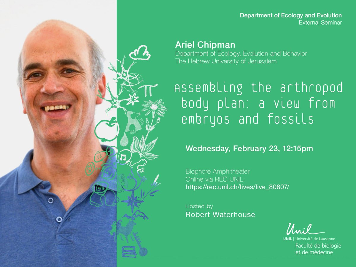 DEE_UNIL's tweet photo. Our DEE External Seminar this week welcomes Ariel Chipman @ChipmanLab (hosted by @rmwaterhouse ) for a talk on assembling the arthropod body plan.🪲 February 23, 12:15 at the Biophore Amphitheater or online via REC UNIL https://t.co/Y9Ye6YJTqu https://t.co/UqXG1vh7lg