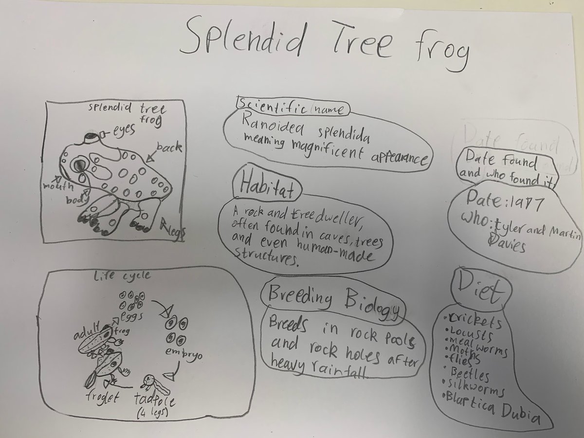 MandySutherDunn's tweet photo. Digging deeper into environmental concerns and the #SDGs with 'I Did Nothing' by #garycrew
Asking students to make connections, discuss challenges, concepts and suggest change.
#purposefulpedagogies #AISWA @mareewhiteley
https://t.co/seW9IJVDqe https://t.co/OlXb7MT6s8