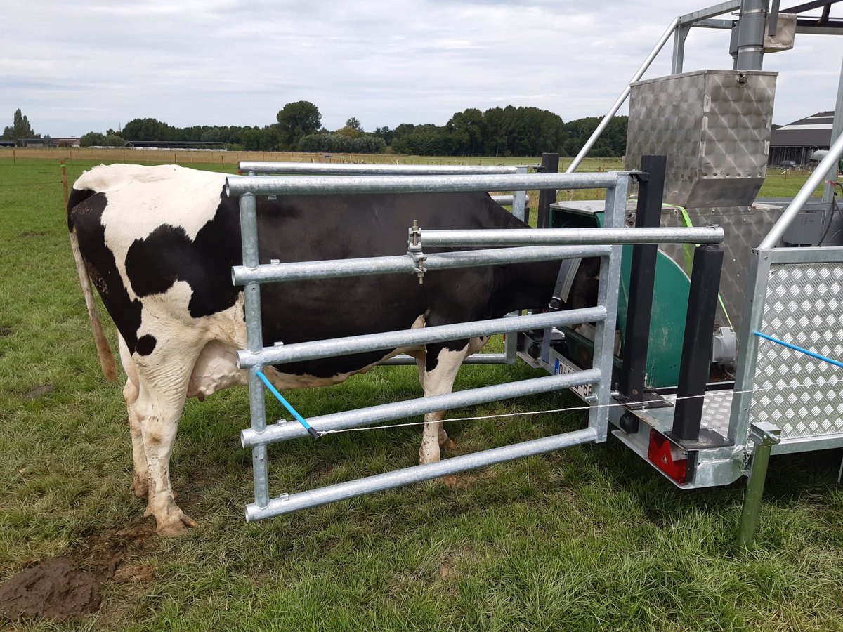 B_Rouille's tweet image. [🚨 Enquête @ERA_NET_SusAn #GrASTech]

🎯 Éleveurs lait 🐄 &amp;amp; viande 🐂
🌬️ Atténuation des émissions de #méthane entérique
⏱️ 10 minutes

Lien vers l&apos;enquête ➡️ survey.ilvo.be/index.php/9945… 

#ceuxquifontlelait #ceuxquifontlaviande #FrAgTw