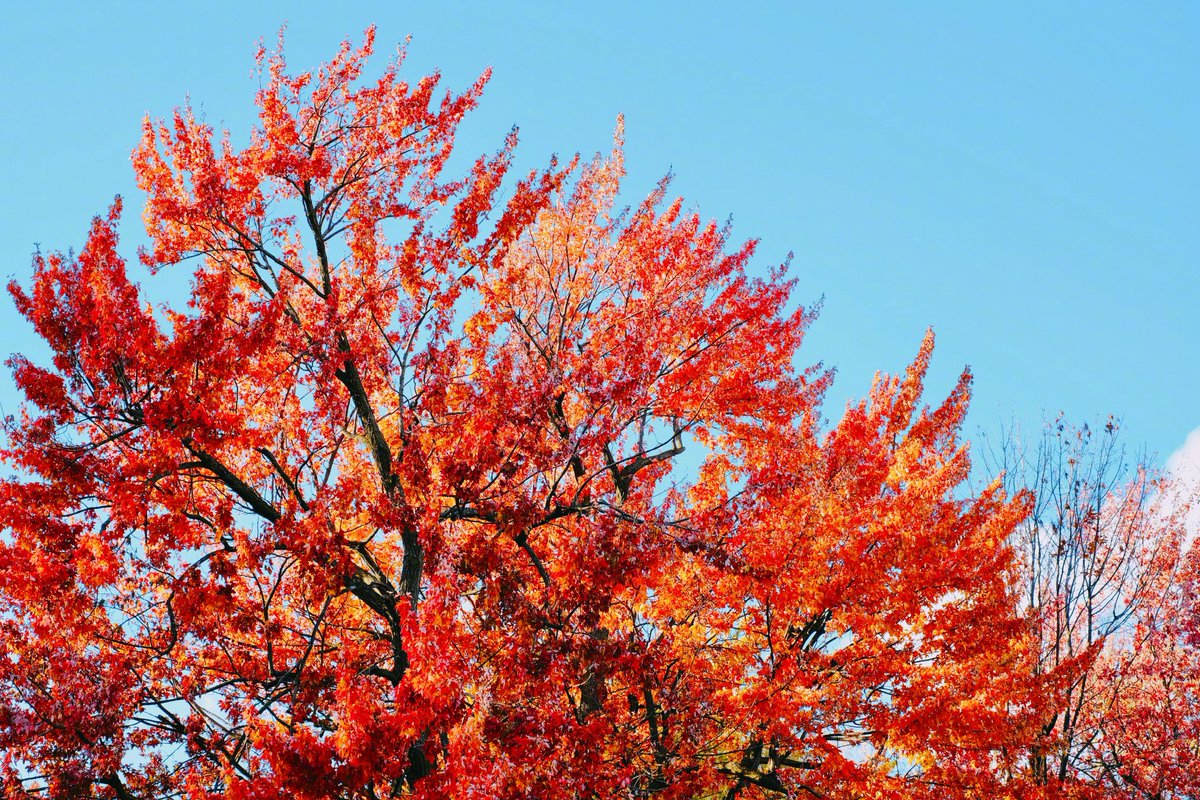 How are you today？