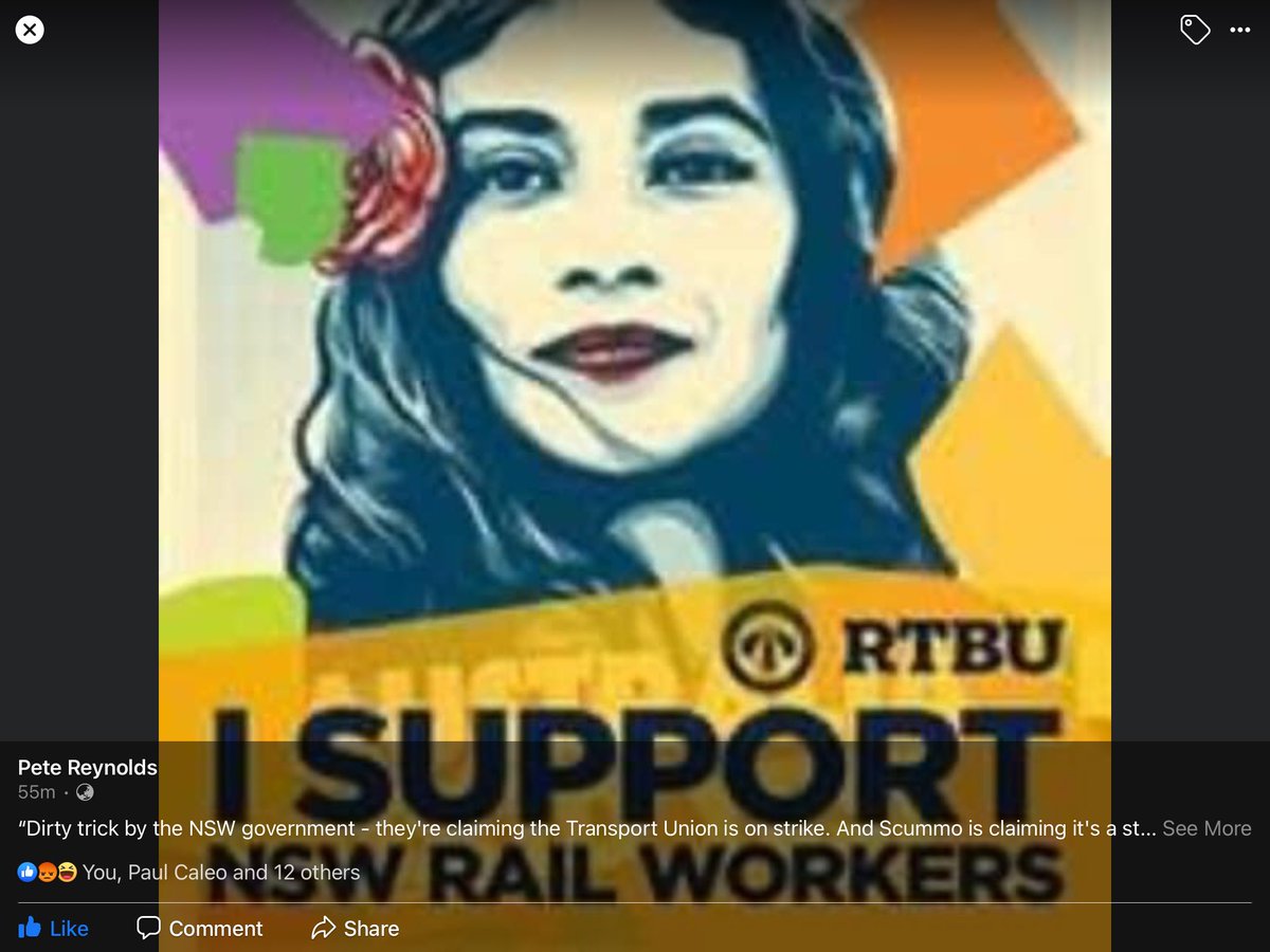 14luxor's tweet photo. We’re being played again by the Libs, turning the community against workers
It’s a #Lockout 
#PerrottetmustGo 
#auspol. https://t.co/jhK6ox0lEd