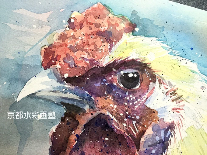 ニワトリじゃないよ。烏骨鶏。#Watercolor #スケッチ #水彩画 #淡彩略画 #生徒募集 #透明水彩 #京都水彩画塾  #水彩画ワークショップ  #水彩画教室  #京都の絵画教室  #水彩画のある暮らし 