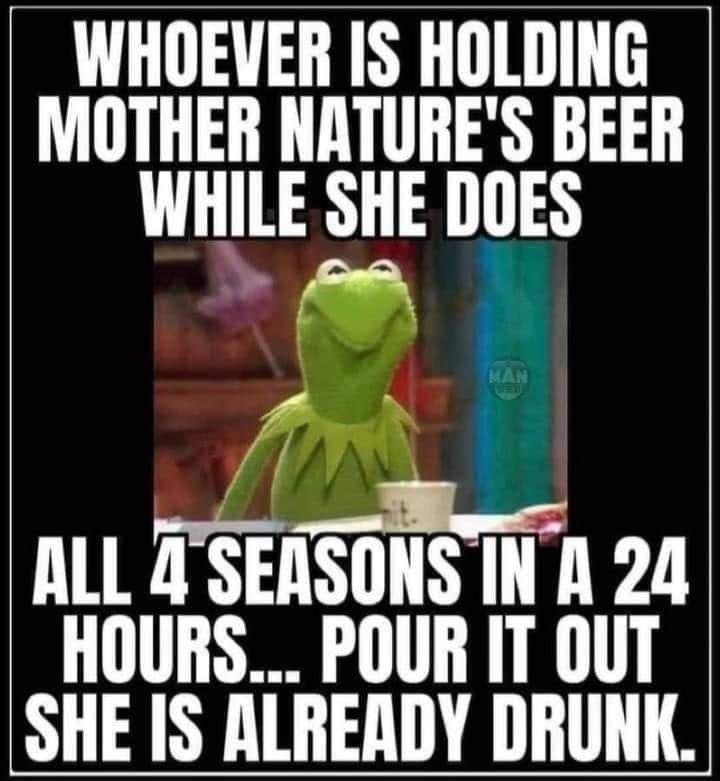 BFWA2016's tweet image. 