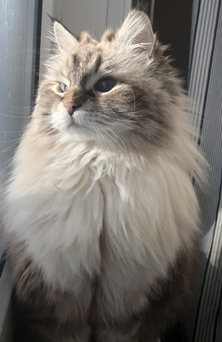 эклеры экзосферы 🚀 tweet media