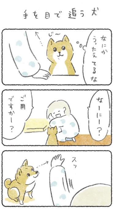 飼い主の手が犬のおやつをつかんだ時目がキラキラになってかわいいリプにつづき貼ります#豆しばこつぶ 