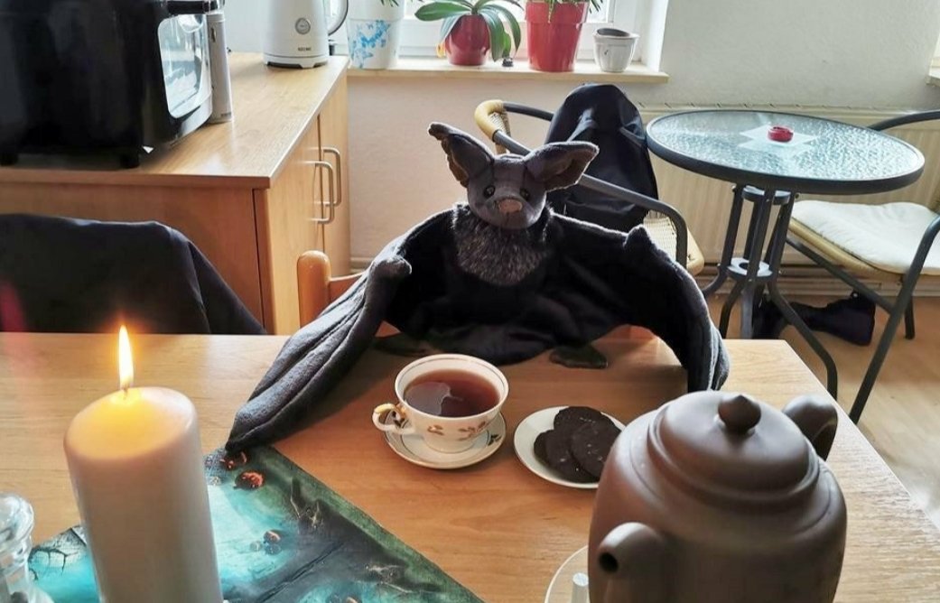 ChiDoodle 🦇 tweet media