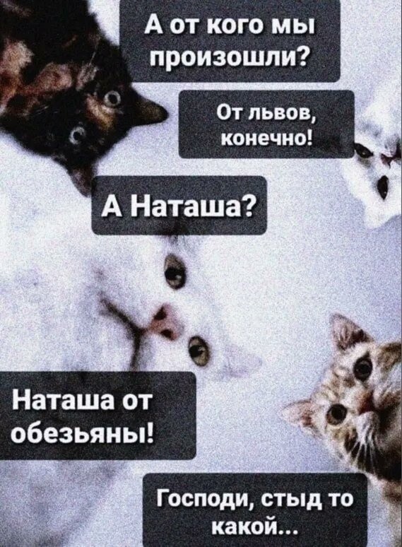 SuharevaNatal's tweet photo. Добраутра https://t.co/gSUEUiEjPd