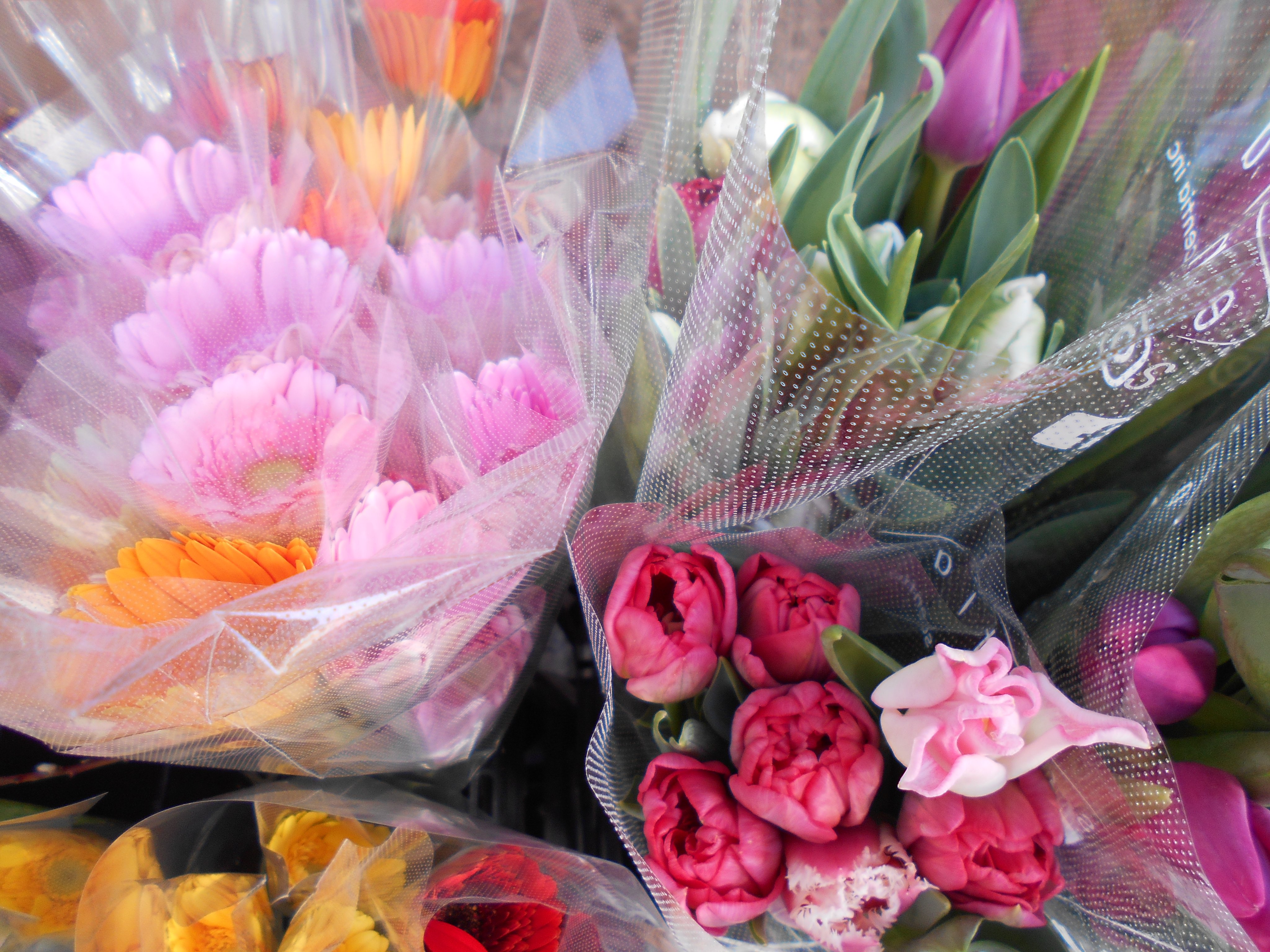 フラワーマルシェ Flowermarche01 Twitter