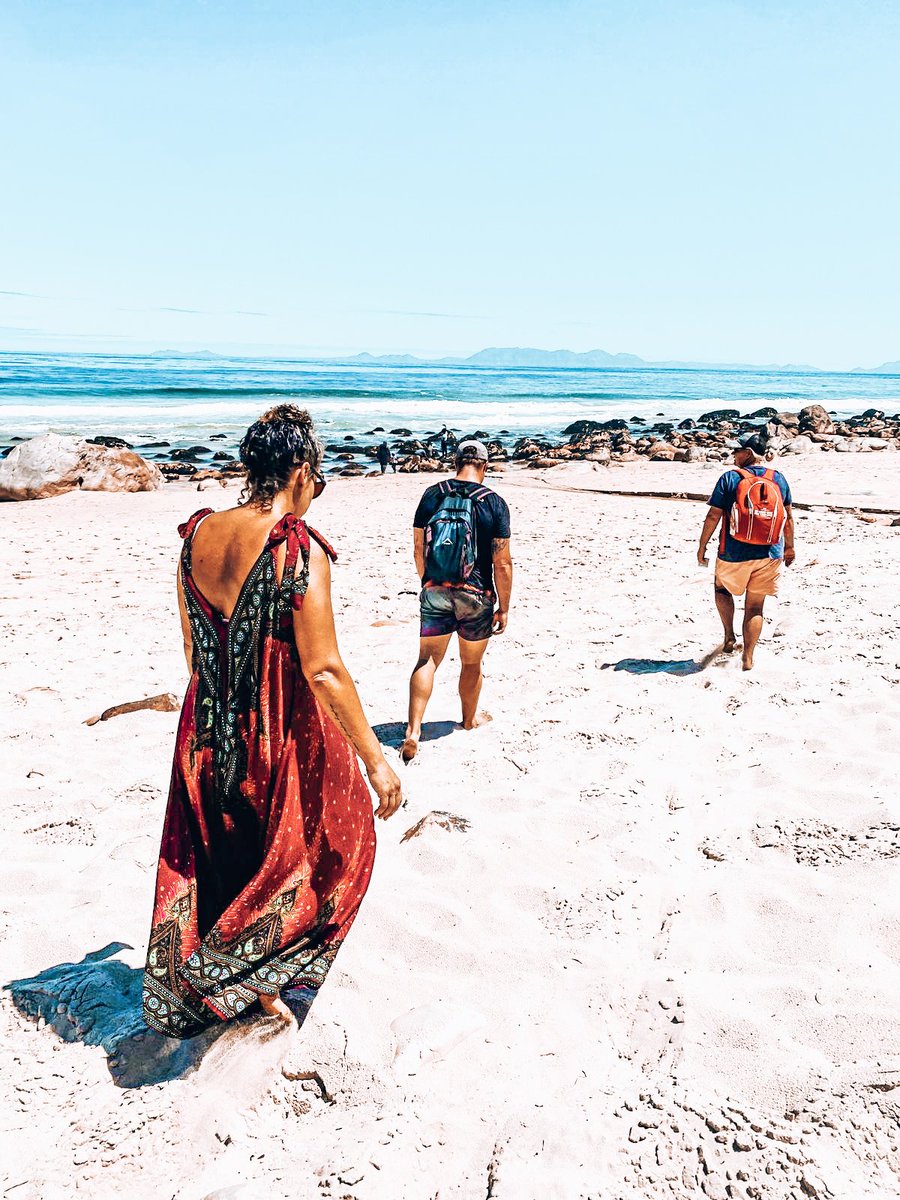 flipsvanz's tweet photo. Epic weekend of Vanlife and Coastal foraging. 

@shanakiadventures @flipsvanz 

#vanlifesouthafrica #vanlifemovement #coastalforage #westerncape #kogelbay #fullmoon https://t.co/PCmynfUEq3
