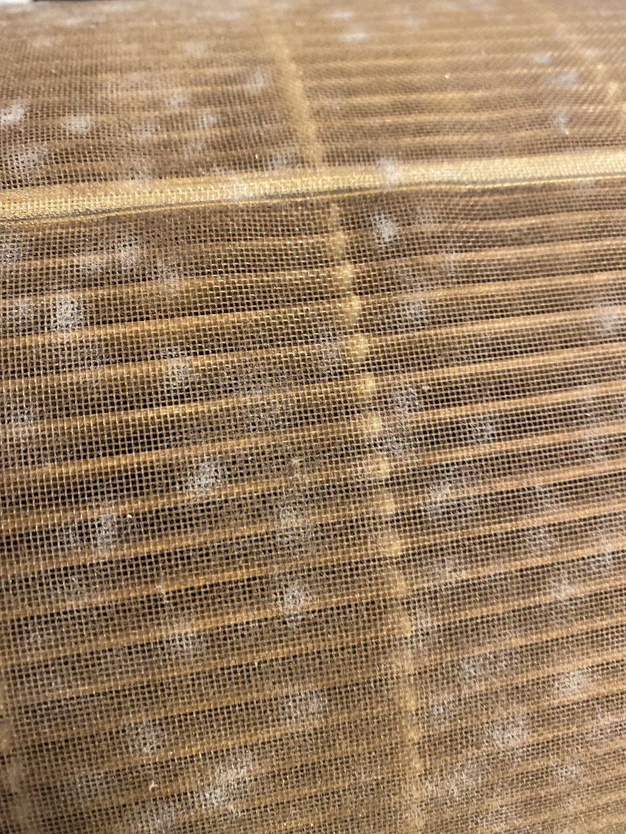 davefromperu's tweet photo. @LevoitLifestyle why would you send ANYONE a used air purifier that smells like literal ashtray. My entire apartment reeks of cigarette smell now. I’m super offended that something like this could be allowed to happen. https://t.co/2ausSBy1UZ
