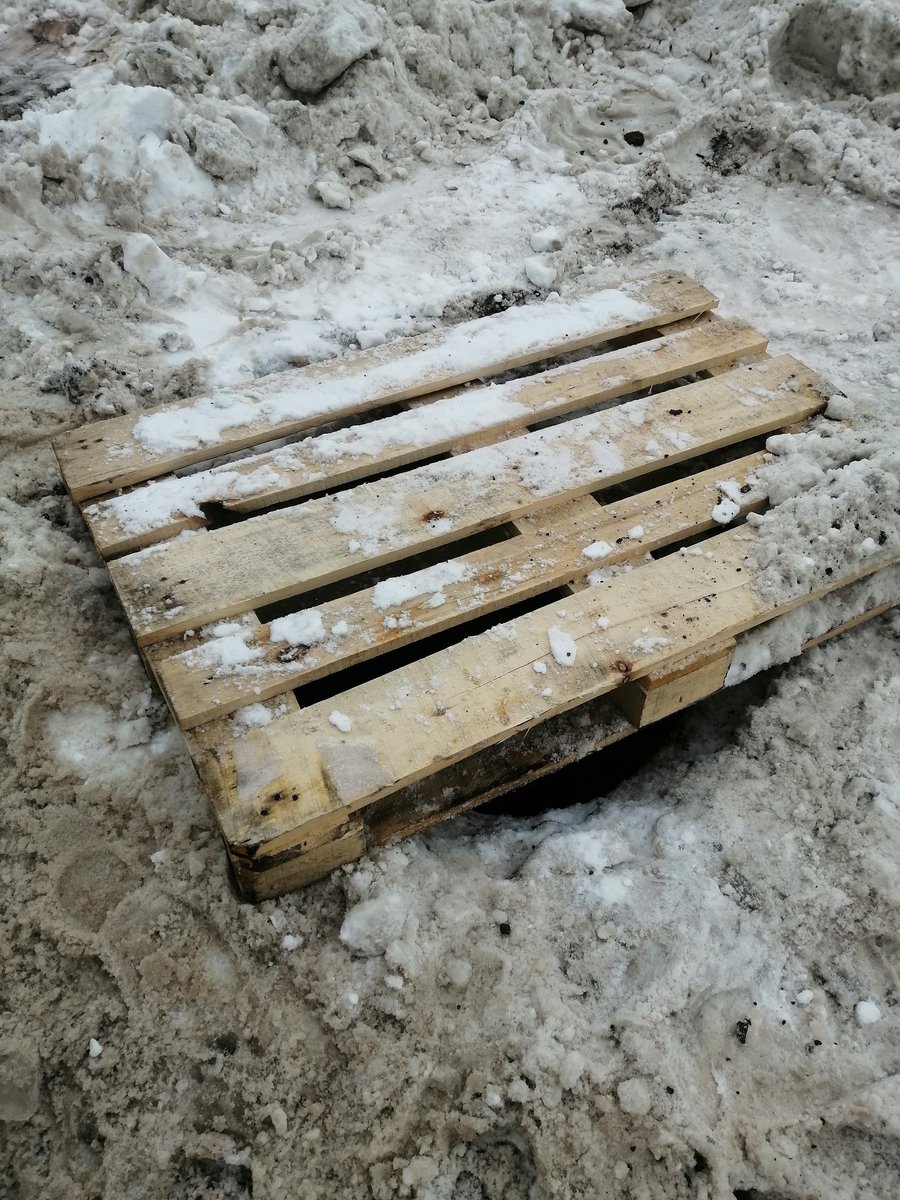 Павел tweet media