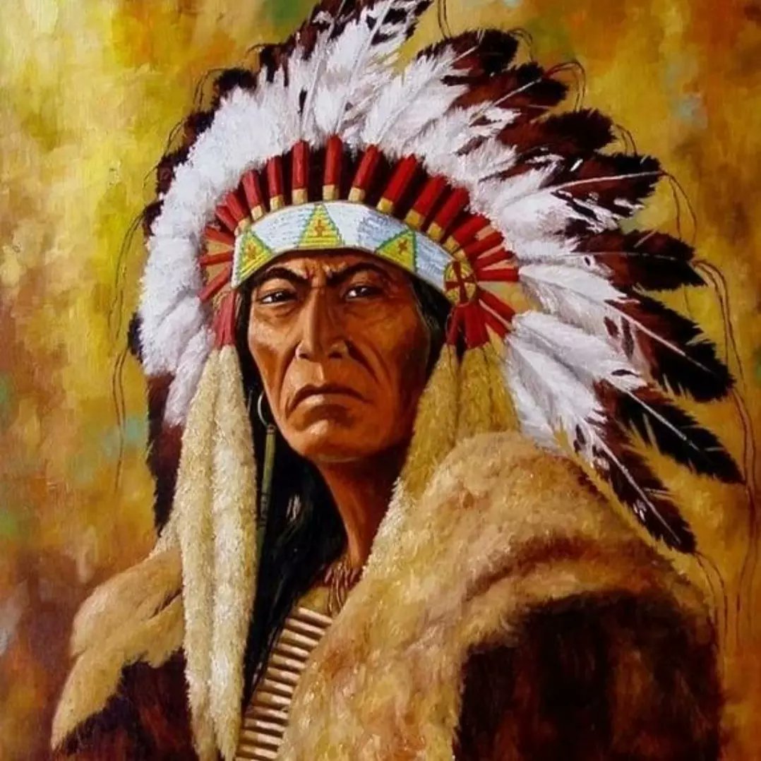 Что означает индейцы. Индейцы гуроны Америки. Гуроны Делавары. Индейцы Апачи вожди. Ихеты индейцы.