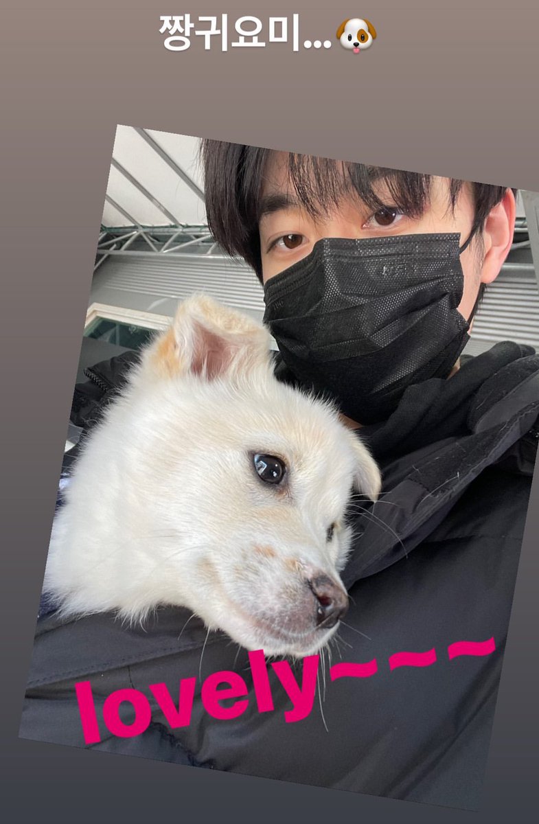 선호 인스타 스토리

#유선호 #YOOSEONHO