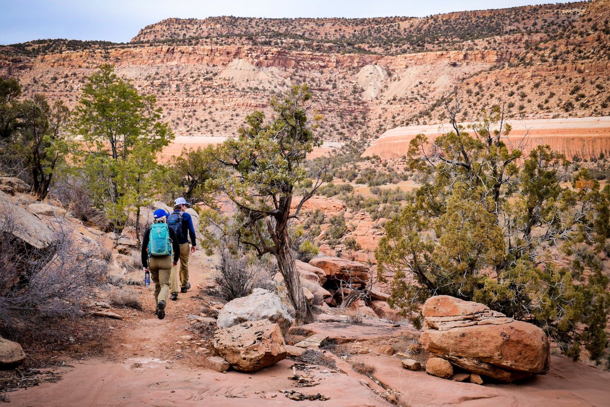 Some places are better left explored on foot! 👣 Who can name this West End favorite trail? 
Hint: ⬇️

📸: @NolaSvoboda 
🏜: “☘️”Trail
📍: West End, CO

#westendcolorado #visitwestend #findyourwild #hikingcolorado #deserthiking #explorecolorado #desertlifestyle #coloradocanyons