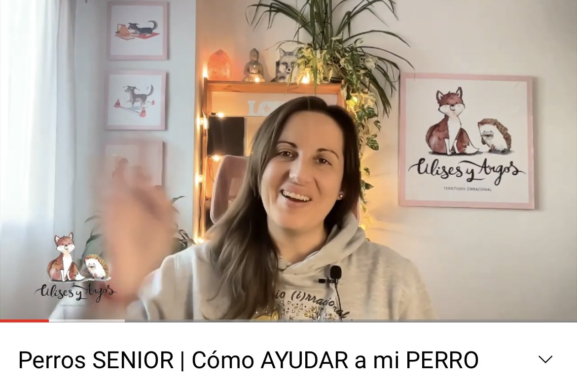 UlisesyArgos's tweet image. 🐶 ¿𝐓𝐮 𝐩𝐞𝐫𝐫𝐨 𝐭𝐢𝐞𝐧𝐞 𝐦𝐚́𝐬 𝐝𝐞 𝟕 𝐚ñ𝐨𝐬? ¿Sabes que está entrando en la etapa senior? ⁣⁣⁣⁣⁣⁣
⁣⁣⁣⁣⁣⁣⁣⁣
🫀¡𝐃𝐚𝐥𝐞 𝐚𝐥 𝐩𝐥𝐚𝐲! Tienes el vídeo completo en mi canal de 𝐜𝐚𝐧𝐚𝐥 𝐝𝐞 𝐘𝐨𝐮𝐓𝐮𝐛𝐞 youtu.be/JPuPdKME0Ys