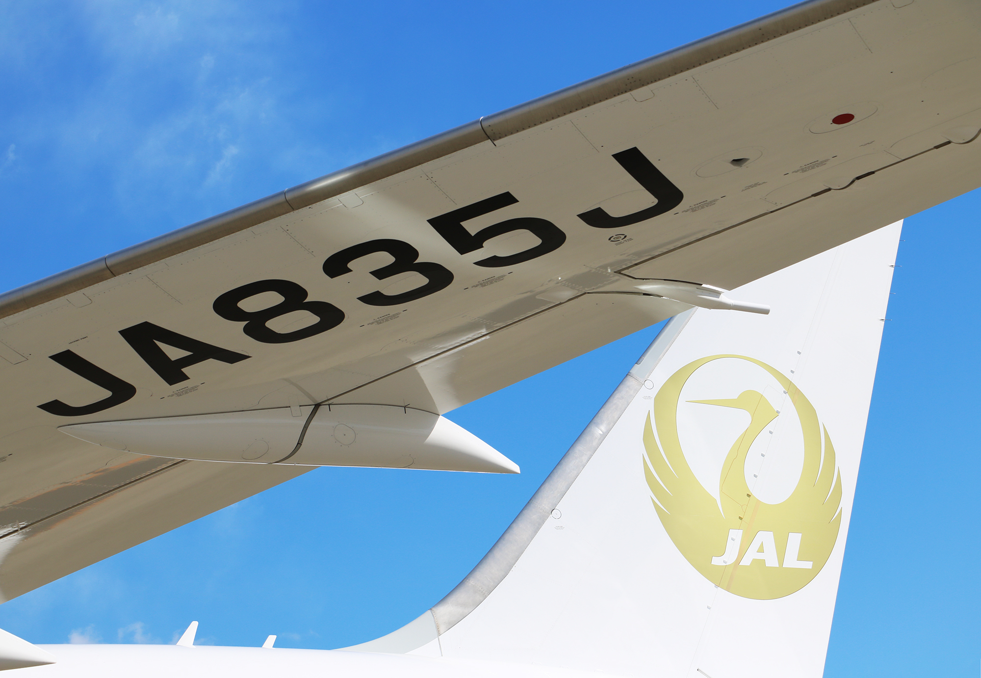 JAPAN AIRLINES【JAL】 on X: JAPAN AIRLINES【JAL】 on X: