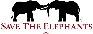 QinweiS's tweet photo. #39canimals
For the government to support animals like elephants, we need to attract government's attention. We could start an #savingelephants campaign on social medias to start with. https://t.co/CJCWh7Rh6V