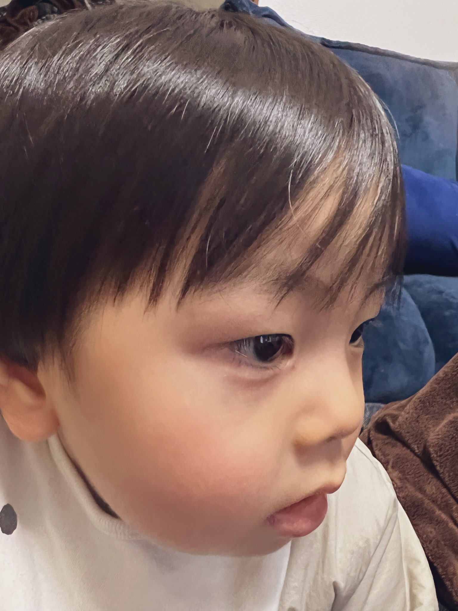 ぐっぱいエロ細胞 前髪長いの可愛いけどそろそろ切らないとな T Co J77wpzit5t Twitter