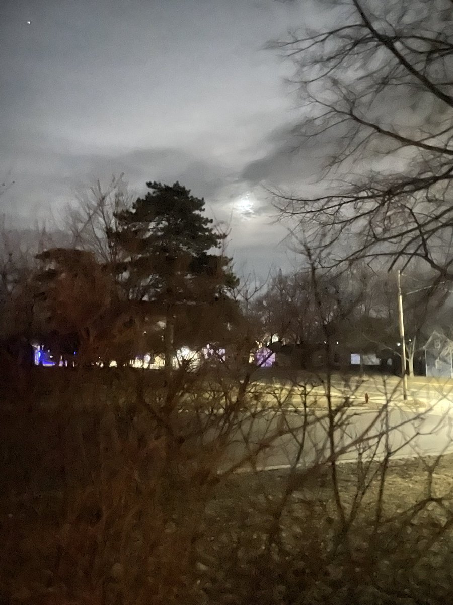 2/20
11:30
SE
Waning Gibbous 
20°
#eled303