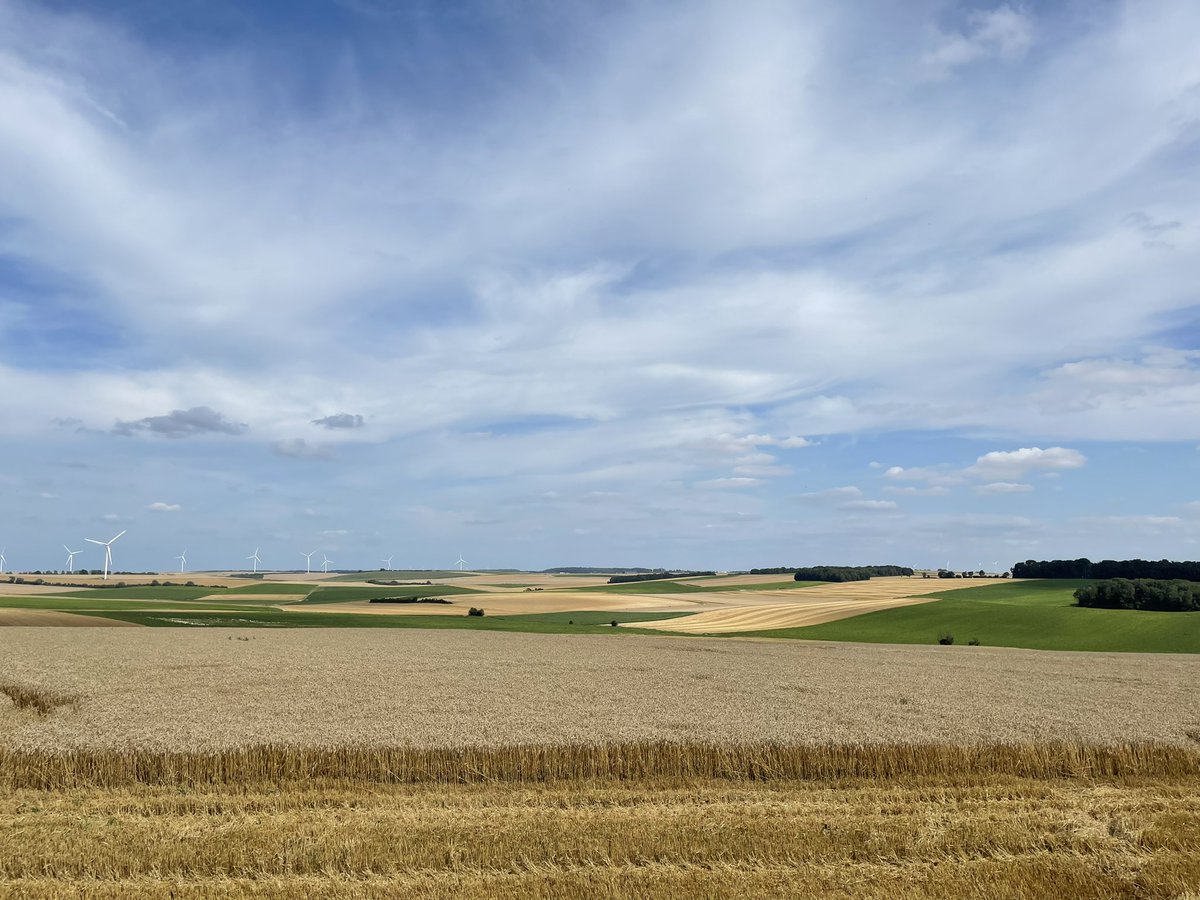 La question aux #Elections2022 , faut il imposer 4% de jachère aux agriculteurs <a href="/UEFrance/">Commission européenne 🇪🇺</a> <a href="/EU_Commission/">European Commission</a> en ses temps de guerre le 1/8/2022 ? 
4% de jachère, c’est encore 2% de blé en moins en Europe. 
<a href="/EmmanuelMacron/">Emmanuel Macron</a> <a href="/vpecresse/">Valérie Pécresse</a> <a href="/ZemmourEric/">Eric Zemmour</a> <a href="/MLP_officiel/">Marine Le Pen</a> 
<a href="/AGPB_Cerealiers/">AGPB-Les Nouveaux Céréaliers</a>