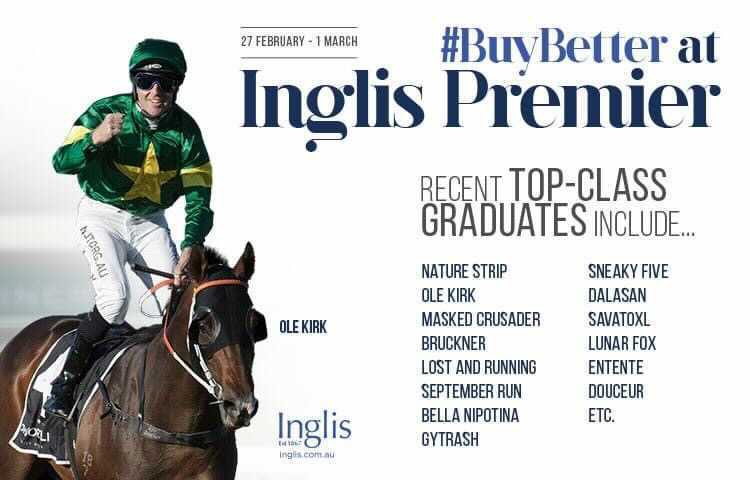 TheRacingLeagu3's tweet photo. We're thrilled to announce that we are heading to the Inglis Premier Sales to purchase the next crop of yearlings for owners in TRL 🐎🎉 let's hope we can find the next Nature Strip or Ole Kirk! #6daysandcounting  @inglis_sales https://t.co/YeYdjQyaRZ