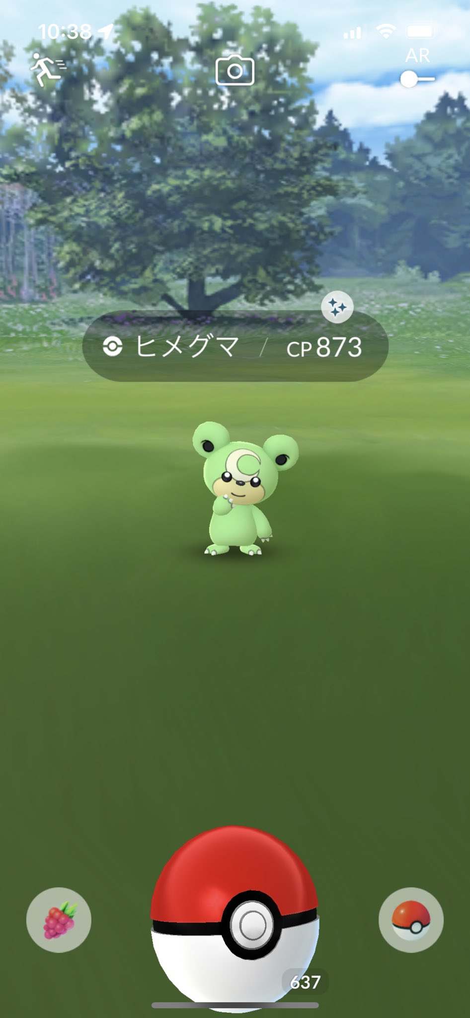 ヒメグマ色違い Twitter Search Twitter