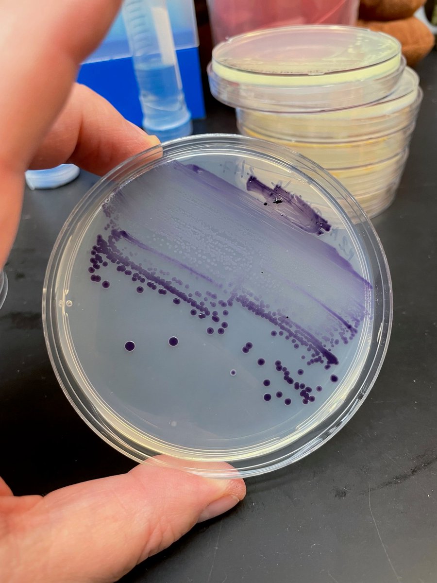 Mark O. Martin tweet media