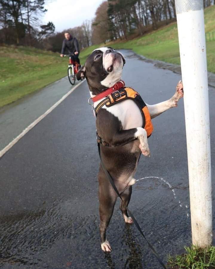 🔴 * la nature humaine * φ ⚫ tweet media