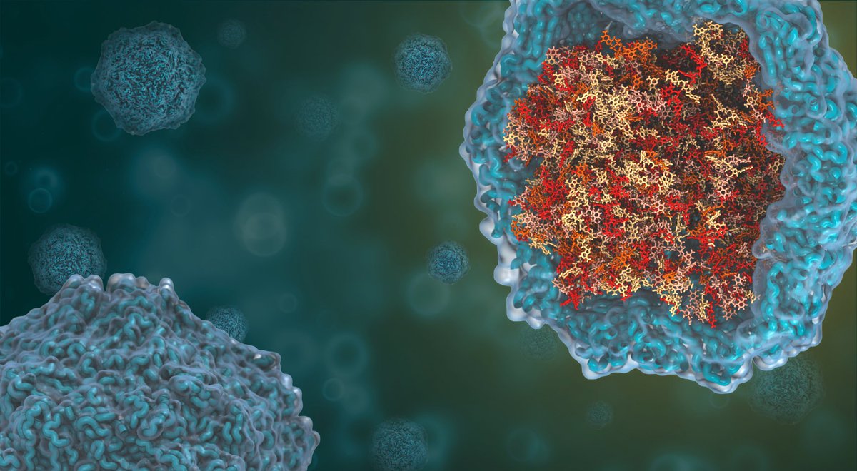 fabigrue's tweet photo. Unfortunately the picture didn't make it to the #BPS2022 image contest finals. Still worth sharing this collaborative work with Melanie König. You see the all-atom csDNA of the PCV2 virus generated with #polyplyMD inside the capsid. Wanna know more? Come to my poster B460 today https://t.co/9uN0ZM6QbY